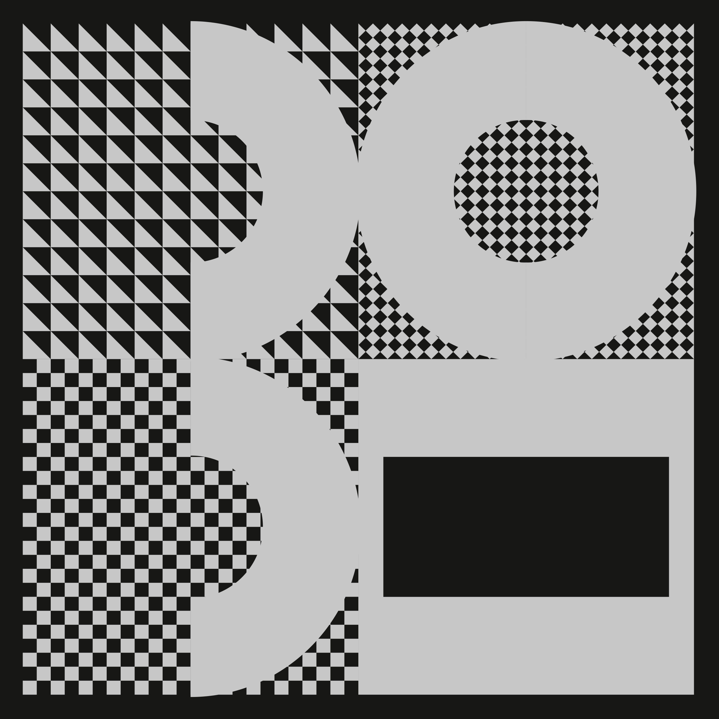 2023 - 2024
